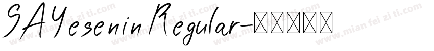 SA Yesenin Regular字体转换